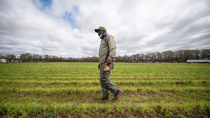 farmer walking in field