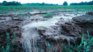 Farm field with torrential rain and runoff, carrying away soil