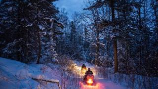Snowmobiles on a trail