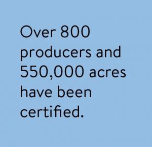 Over 800 producers and 550,000 acres have been certified.