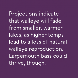 Projections indicate that walleye will fade from smaller, warmer lakes, as higher temps lead to a loss of natural walleye reproduction. Largemouth bass could thrive, though.