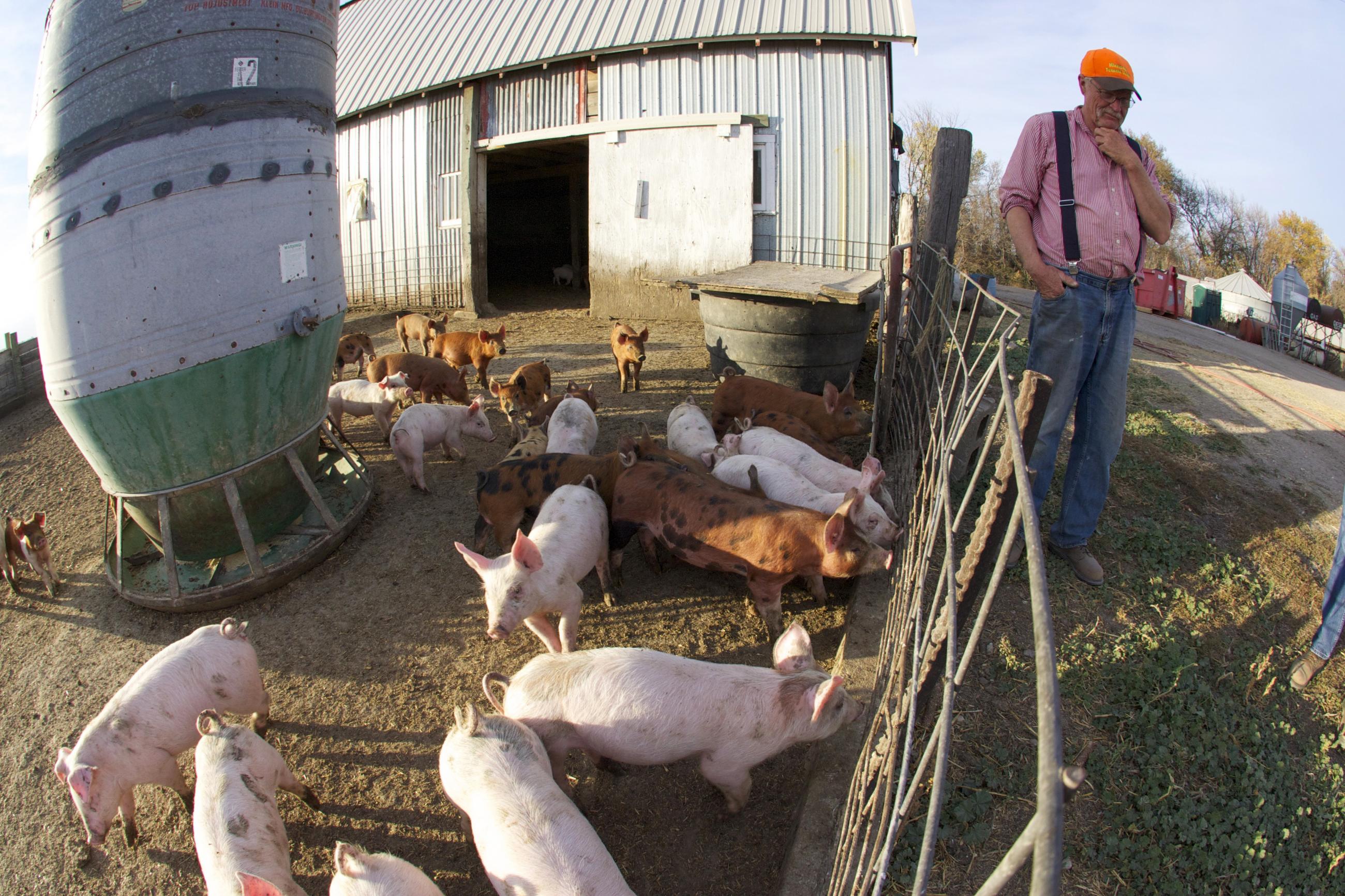 Farmers face new challenges for crops, livestock Our Minnesota Climate