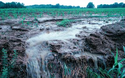 Farm field with torrential rain and runoff, carrying away soil